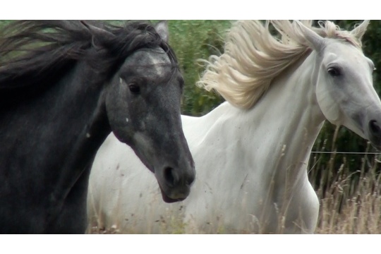 persoonlijke ontwikkeling